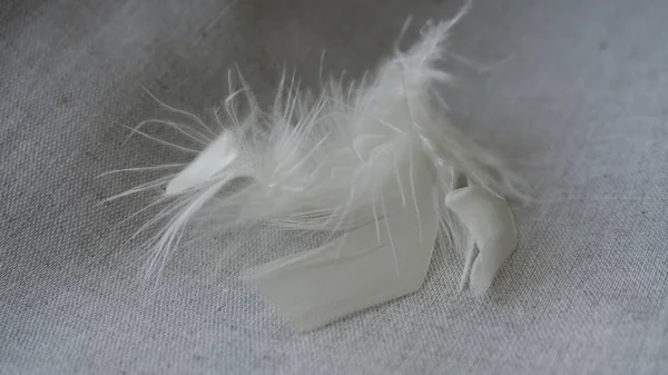 White Fluff Feathers — Stock Photo, Image