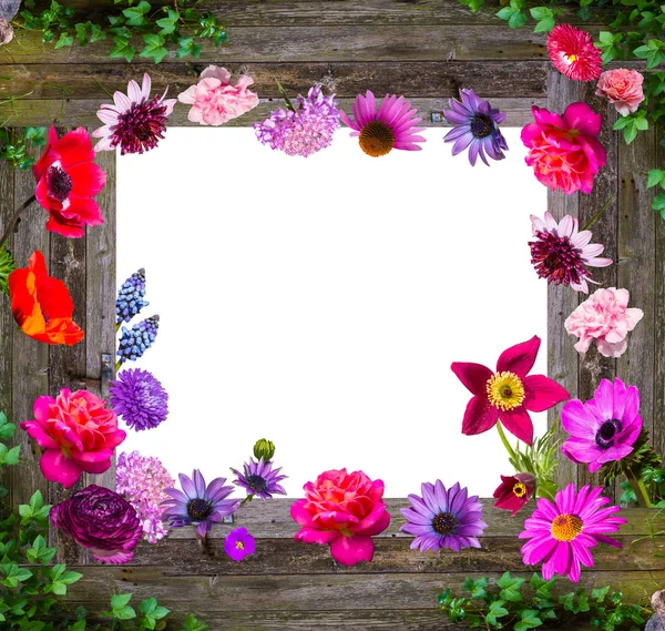 Composizione Fioriture Fiori Giardino Sfondo Legno Con Spazio Copia Centro Foto Stock