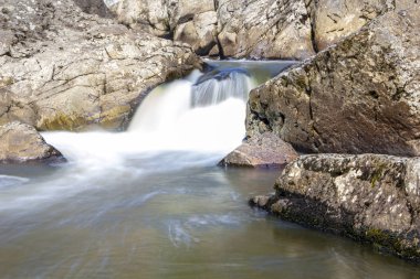 küçük orman nehir hızlı güzel şelale