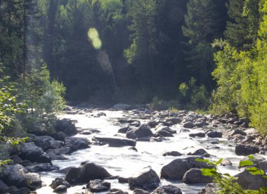 sığ pitoresk kayalık hızlı nehir taiga akar