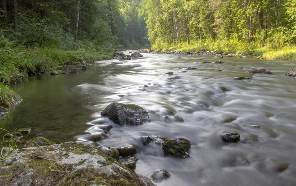 Río rápido rocoso pintoresco poco profundo fluye en la taiga — Foto de Stock