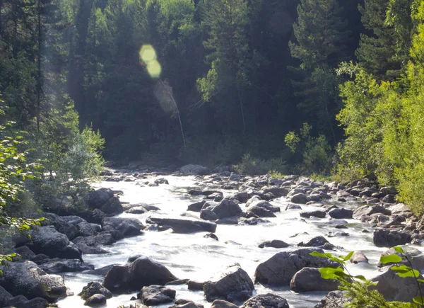 Rio rochoso raso pitoresco rápido flui na taiga — Fotografia de Stock