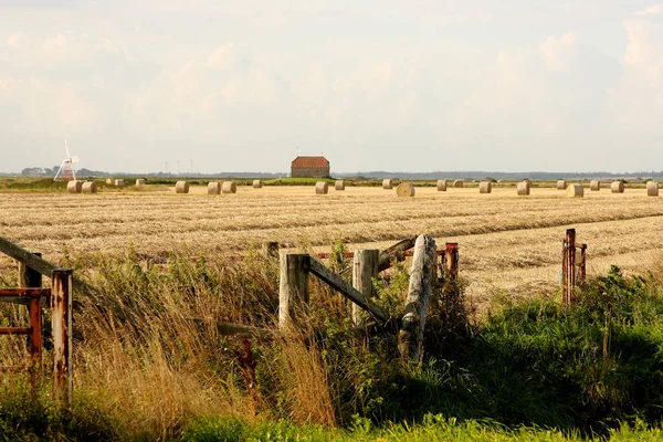 Naturlandschaft Nordeuropa — Stockfoto