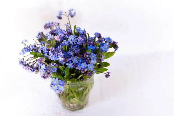 Flores silvestres azules en una taza de vidrio contra una pared blanca. Fondo blanco. No me olvides. . — Foto de Stock