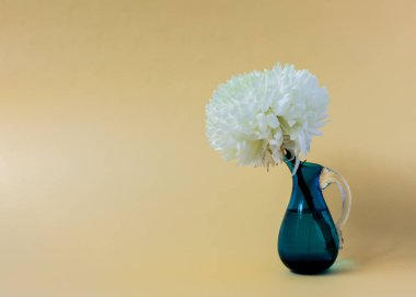 Bej arkaplanda mavi bir vazoda beyaz kasımpatı..