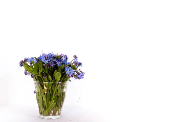 Flores silvestres azules en una taza de vidrio contra una pared blanca. Fondo blanco. No me olvides. . — Foto de Stock