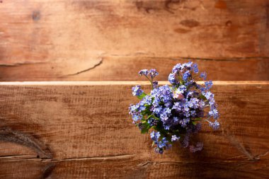 Ahşap bir arka planda cam bir fincanda mavi kır çiçekleri. Unut beni..