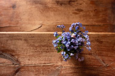 Ahşap bir arka planda cam bir fincanda mavi kır çiçekleri. Unut beni..