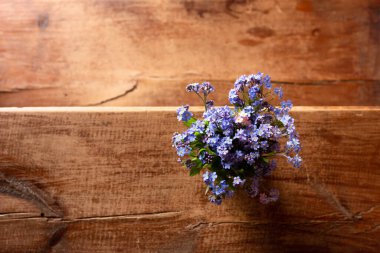 Ahşap bir arka planda cam bir fincanda mavi kır çiçekleri. Unut beni..