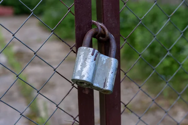 Gray lock on the gate. Property protection. — Stock Photo, Image