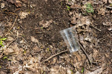 Plastik bardaklar ormanda yere saçıldı.