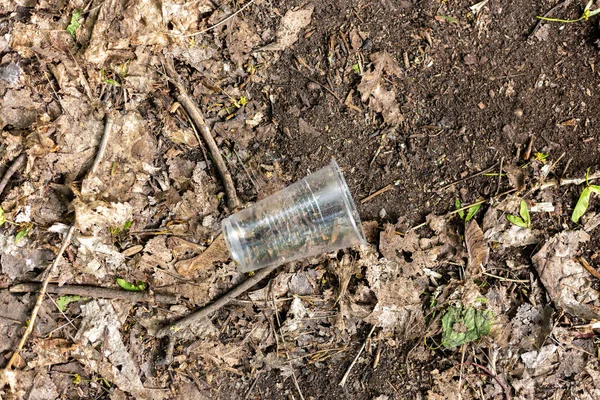 散在森林里地上的塑料杯子 — 图库照片