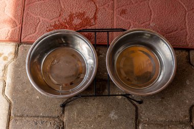 Köpeğe su dolu çelik tabaklar.