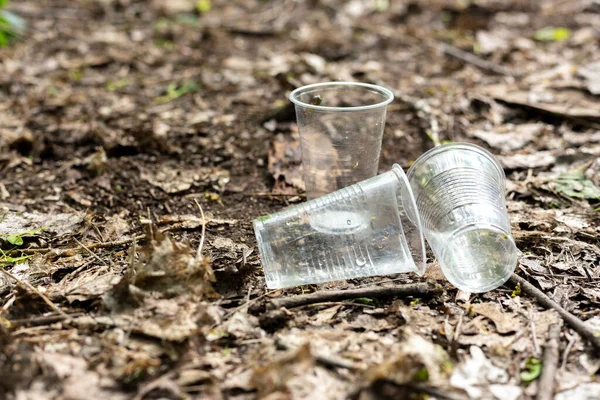 Пластиковые чашки, разбросанные по земле в лесу — стоковое фото