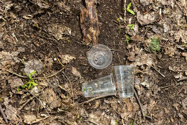 Пластиковые чашки, разбросанные по земле в лесу — стоковое фото