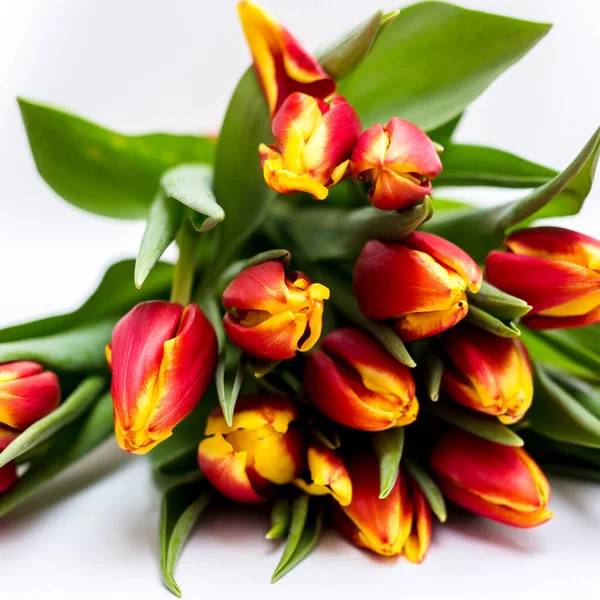 Schöne Tseti-Tulpen und Rosen auf hellem Hintergrund — Stockfoto