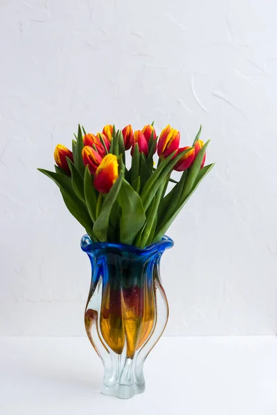 Красивые цети тюльпаны на светлом фоне — стоковое фото