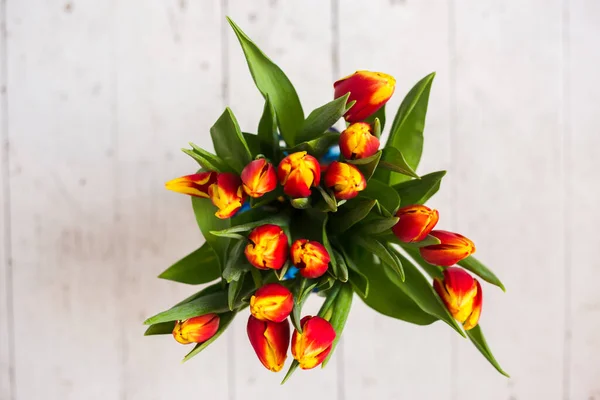 Hermosos tulipanes tseti sobre un fondo claro —  Fotos de Stock