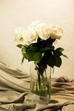 Beyaz ve gri arkaplanda beyaz güller