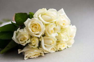 Açık arkaplanda güzel beyaz güller