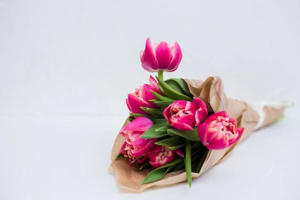 Hermosos tulipanes tseti sobre un fondo gris —  Fotos de Stock