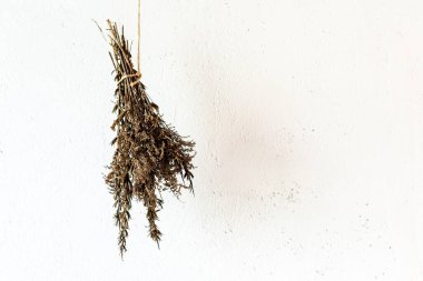 Beyaz arka planda bir buket kurutulmuş bitki..