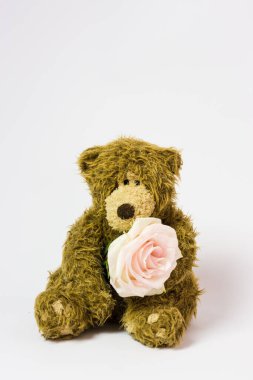 Pençelerinde canlı bir çiçek olan sevimli oyuncak ayı.