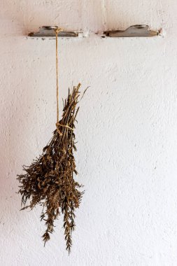 Beyaz arka planda bir buket kurutulmuş bitki..