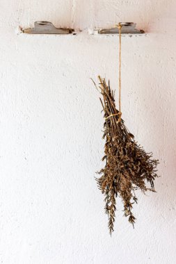 Beyaz arka planda bir buket kurutulmuş bitki..
