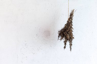 Beyaz arka planda bir buket kurutulmuş bitki..