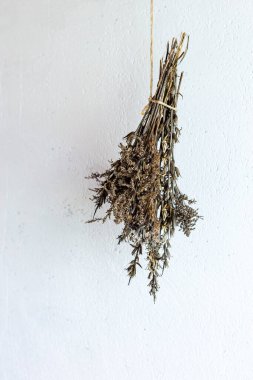 Beyaz arka planda bir buket kurutulmuş bitki..