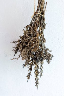 Beyaz arka planda bir buket kurutulmuş bitki..