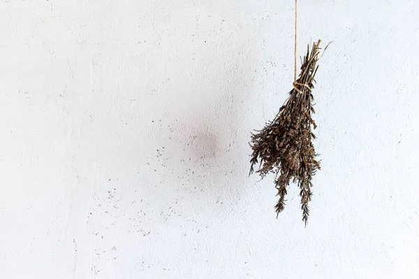 Beyaz arka planda bir buket kurutulmuş bitki..