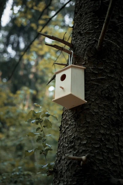 Maison d'oiseaux en bois sur un arbre. — Photo