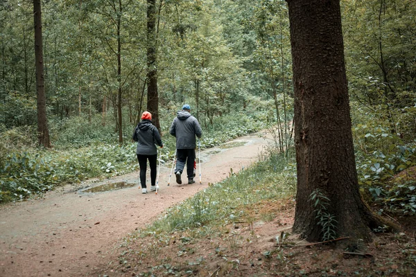 Kadın ve erkek kozalaklı ormanda İskandinav yürüyüşü yapıyorlar. — Stok fotoğraf
