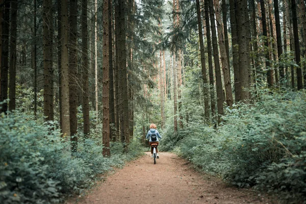 A woman rides into the distance along a forest road on a bicycle — Stock Photo, Image