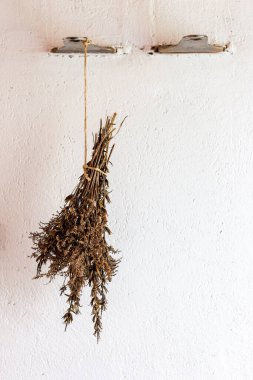 Beyaz arka planda bir buket kurutulmuş bitki..