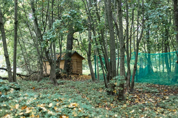 Haus aus Holz im Herbstwald — Stockfoto