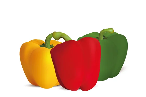 Üç Set gerçekçi kırmızı biber vektör tasarımı