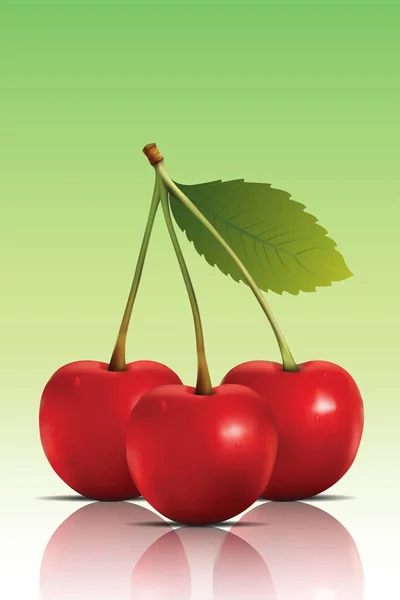 Gerçekçi taze kiraz kümesi