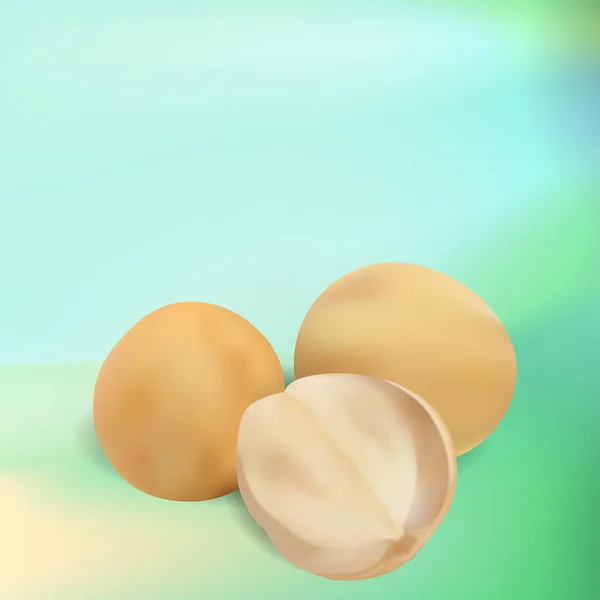 Gerçekçi taze Lanseh meyve