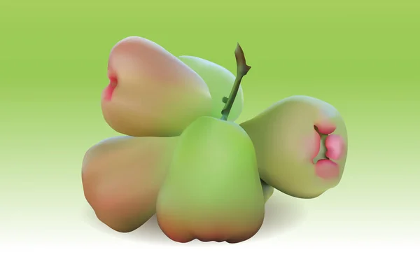 Vektör gerçekçi Rose Apple ayarla