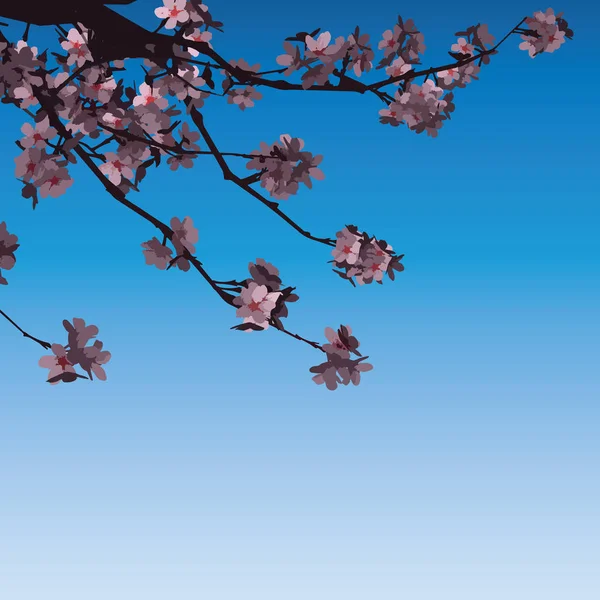 Sakura Flowers Pink On Branch Vector Illustration