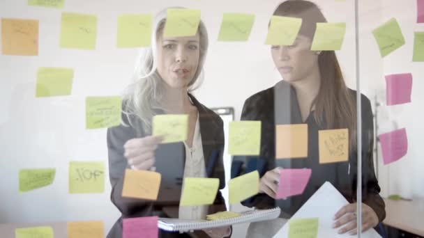 Focused female business colleagues working on tasks — Stock Video