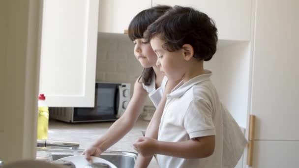 Dos lindos niños pequeños lavando el plato en la cocina — Vídeos de Stock