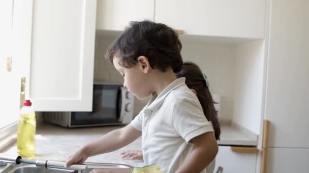 Pequeño hermano y hermana lavaplatos en la cocina — Vídeos de Stock