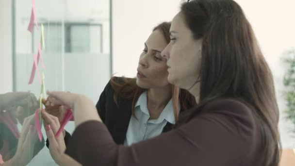 Female business colleagues wearing suits — Stock Video