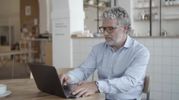 Serio maturo uomo d'affari utilizzando laptop — Video Stock