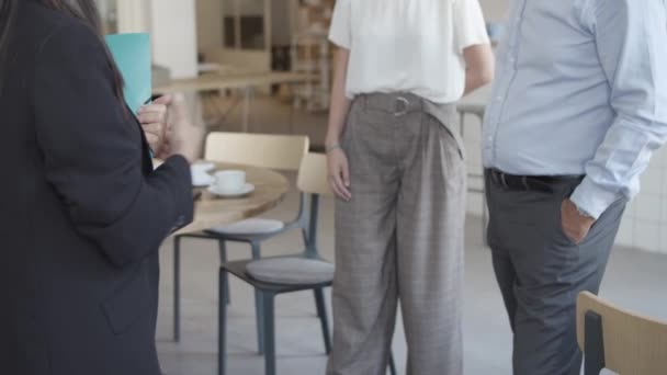 Reunión del gerente con los clientes en el espacio de co-trabajo — Vídeo de stock