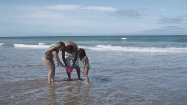 Los padres y la niña recogiendo conchas en el cubo — Vídeo de stock